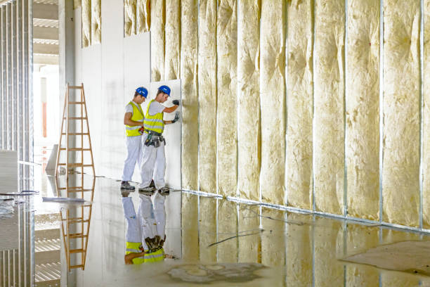 Best Commercial Insulation in Easton, CA
